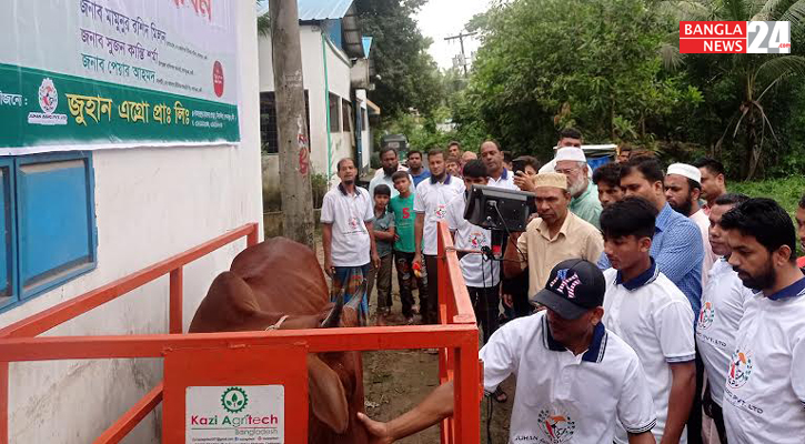 ফেনীতে কোরবানির পশু বিকি-কিনি ডিজিটালে